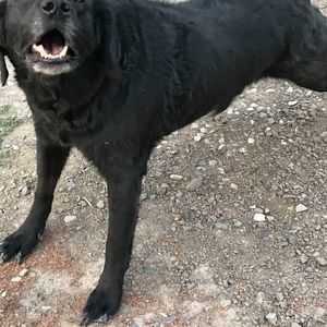 Meet your Posher, Jen